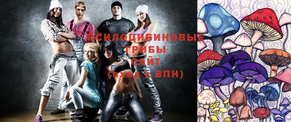 прущие крисы Горнозаводск