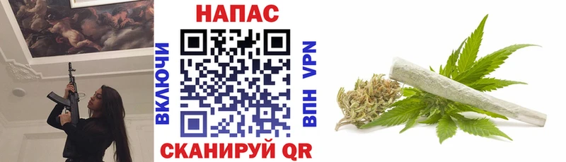 Конопля ГИДРОПОН Кукмор